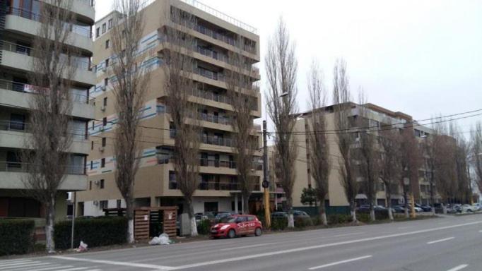 Wild Africa Apartament Mamaia Exterior foto